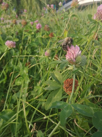 337x450  167 KB. Big one: 2448x3264  1329 KB