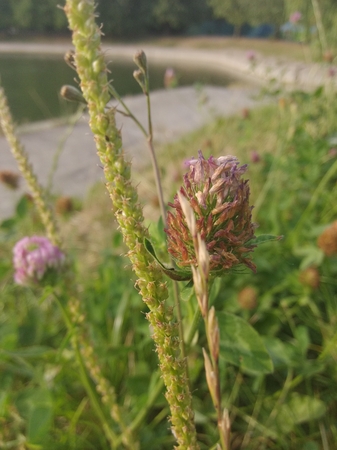 337x450  134 KB. Big one: 2448x3264  1178 KB