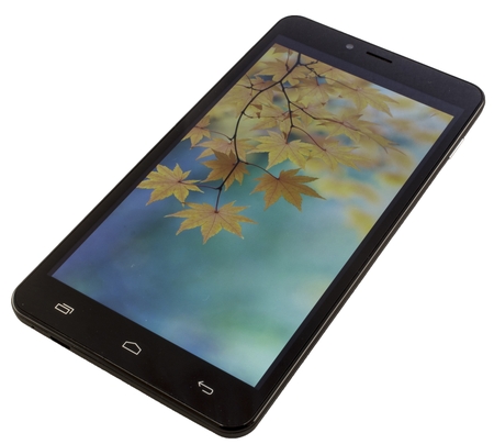 450x404  94 KB. Big one: 1500x1349  660 KB