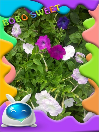 337x450  82 KB. Big one: 2448x3264  1686 KB