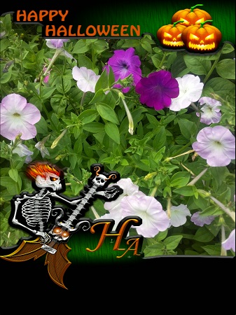 337x450  85 KB. Big one: 2448x3264  1756 KB