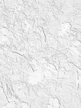 337x450  130 KB. Big one: 2448x3264  4419 KB