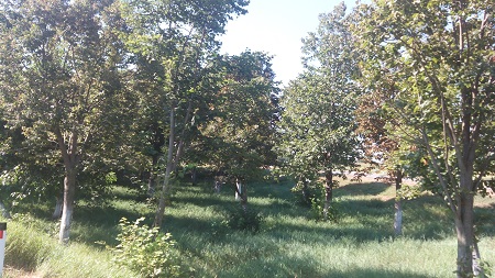 450x253  129 KB. Big one: 3328x1872  2539 KB