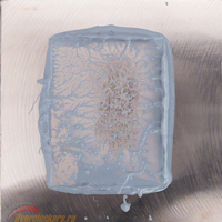 200x200  29 KB. Big one: 500x500  204 KB