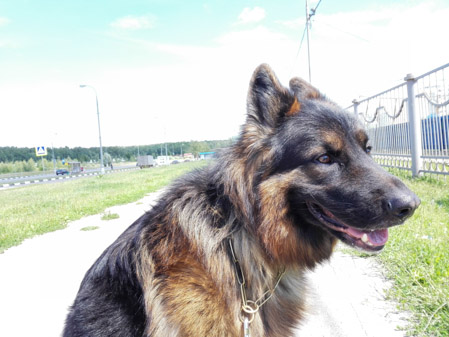 449x337  51 KB. Big one: 4160x3120  4801 KB