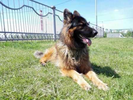 449x337  52 KB. Big one: 4160x3120  7194 KB