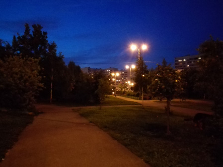 449x337  45 KB. Big one: 4160x3120  3653 KB