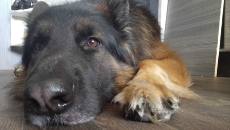 449x253  47 KB. Big one: 3264x1836  2506 KB