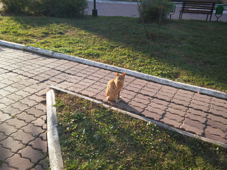 450x338  225 KB. Big one: 3264x2448  3985 KB