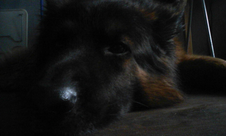 448x269  52 KB. Big one: 1280x768  245 KB