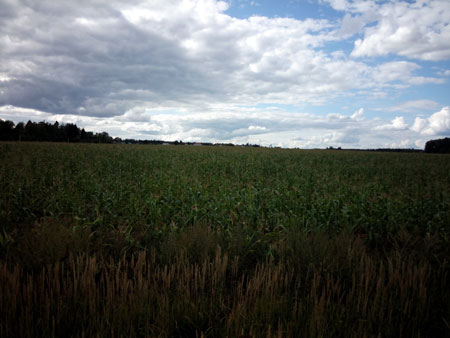 450x338  34 KB. Big one: 4096x3072  1401 KB