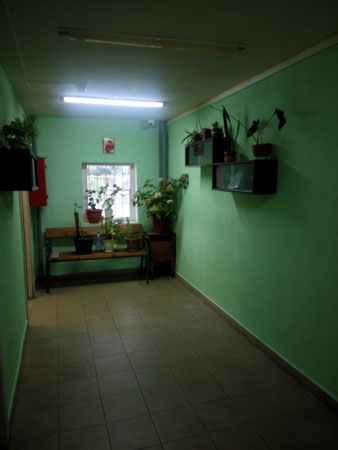 338x450  21 KB. Big one: 3072x4096  1520 KB