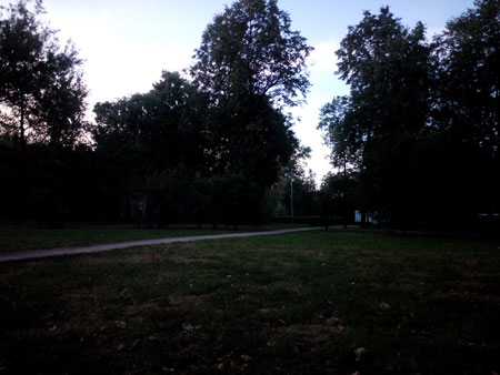 450x338  34 KB. Big one: 4096x3072  1475 KB