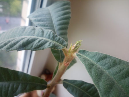 450x338  25 KB. Big one: 4096x3072  1197 KB