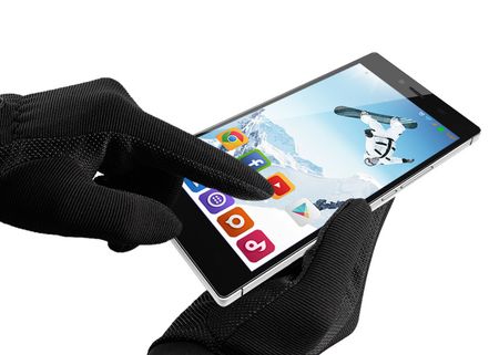 450x321  31 KB. Big one: 914x622  72 KB