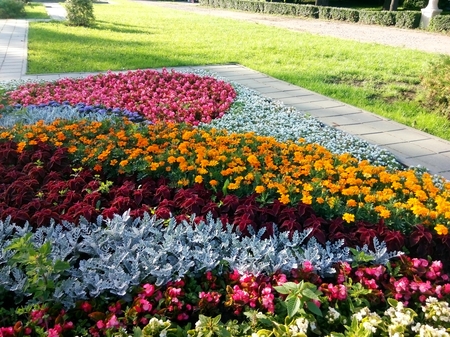 450x337  218 KB. Big one: 4352x3264  7038 KB