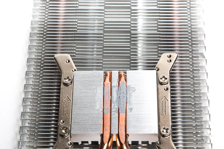 450x300  99 KB. Big one: 1500x1000  425 KB