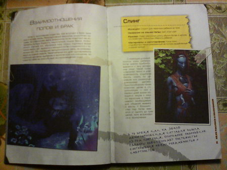 450x338  40 KB. Big one: 1600x1200  773 KB