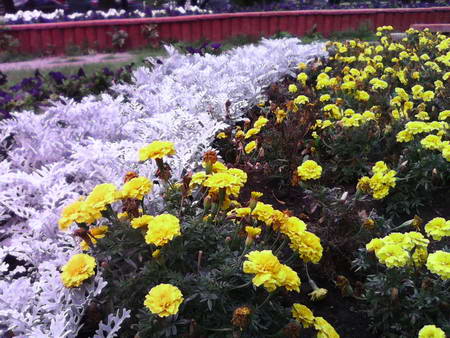 450x338  62 KB. Big one: 1600x1200  1284 KB