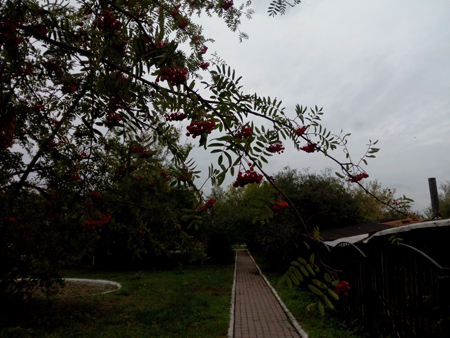 450x338  167 KB. Big one: 4096x3072  1609 KB