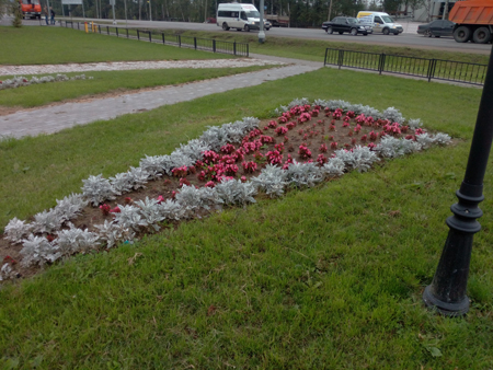 450x338  190 KB. Big one: 4096x3072  2478 KB