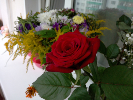 450x338  147 KB. Big one: 4096x3072  1477 KB