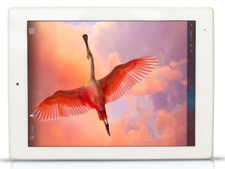 450x338  33 KB. Big one: 800x601  63 KB