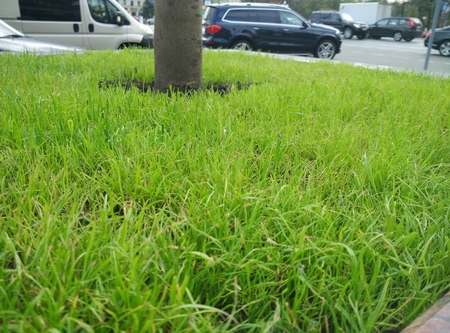 450x333  217 KB. Big one: 4208x3120  2756 KB