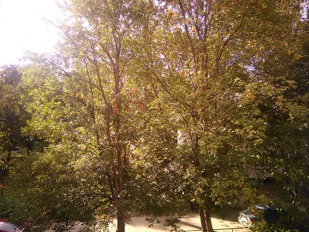 450x337  102 KB. Big one: 3264x2448  5289 KB