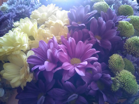 450x337  55 KB. Big one: 3264x2448  1660 KB