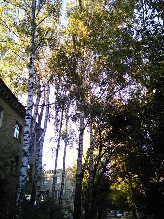 337x450  110 KB. Big one: 2448x3264  4872 KB