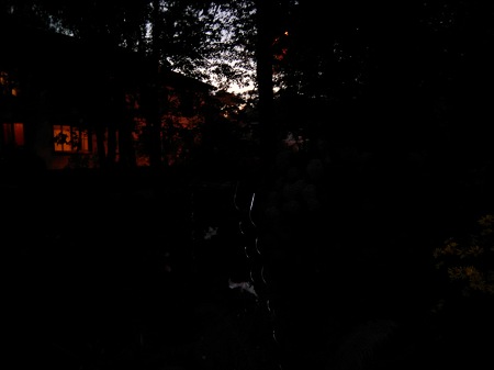 450x337  19 KB. Big one: 3264x2448  677 KB