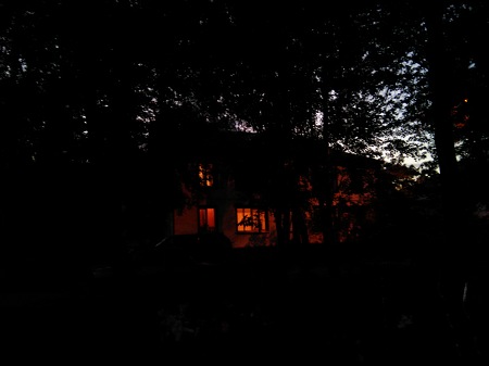 450x337  25 KB. Big one: 3264x2448  745 KB