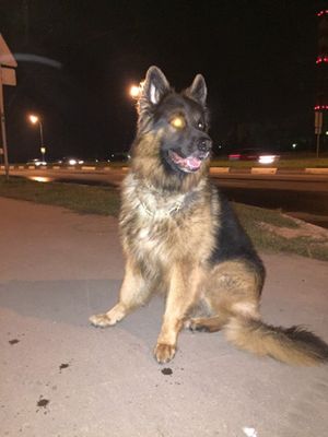 300x400  20 KB. Big one: 2448x3264  2468 KB