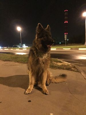 300x400  20 KB. Big one: 2448x3264  2406 KB