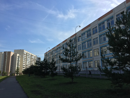 449x337  57 KB. Big one: 3264x2448  2378 KB