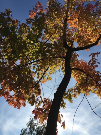 337x449  57 KB. Big one: 2448x3264  3749 KB