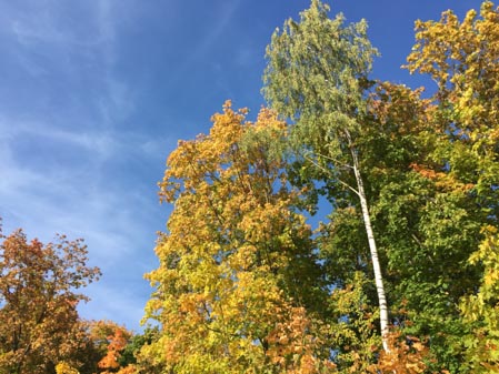 449x337  57 KB. Big one: 3264x2448  4815 KB