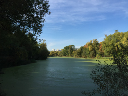 449x337  60 KB. Big one: 3264x2448  2877 KB