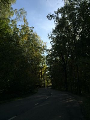 300x400  25 KB. Big one: 2448x3264  3430 KB