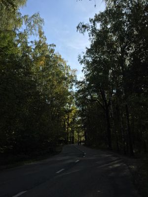 300x400  27 KB. Big one: 2448x3264  3314 KB