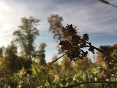 449x337  56 KB. Big one: 3264x2448  1941 KB