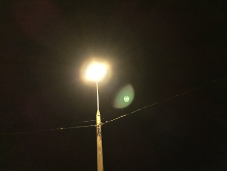 449x337  50 KB. Big one: 3264x2448  1788 KB