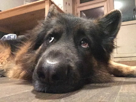 449x337  50 KB. Big one: 1280x960  522 KB