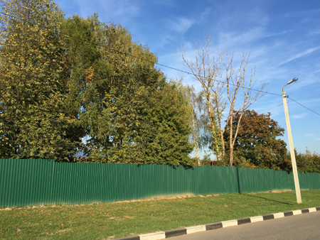 450x338  214 KB. Big one: 3264x2448  3838 KB