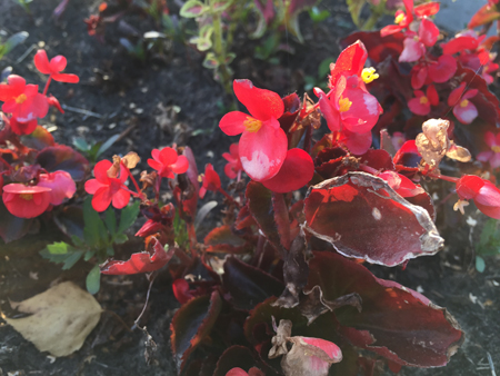 450x338  177 KB. Big one: 3264x2448  1953 KB