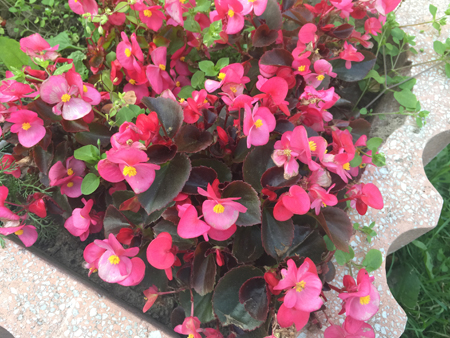 450x338  239 KB. Big one: 3264x2448  2555 KB