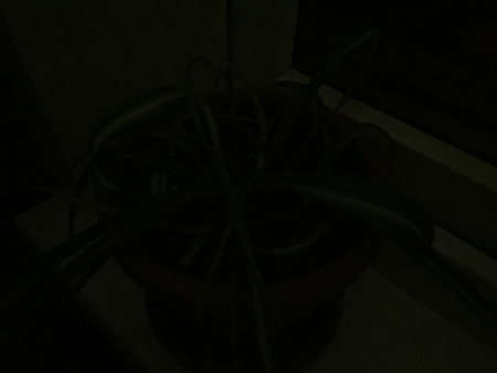 450x338  76 KB. Big one: 3264x2448  951 KB