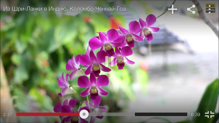 450x253  160 KB. Big one: 1500x844  1164 KB