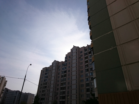 449x337  58 KB. Big one: 3264x2448  2222 KB